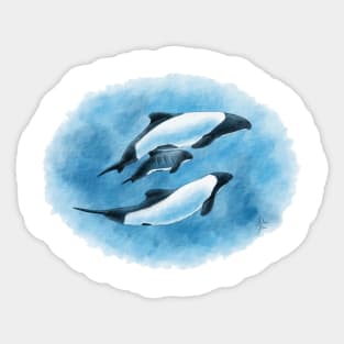 Commerson's Dolphin Family Sticker